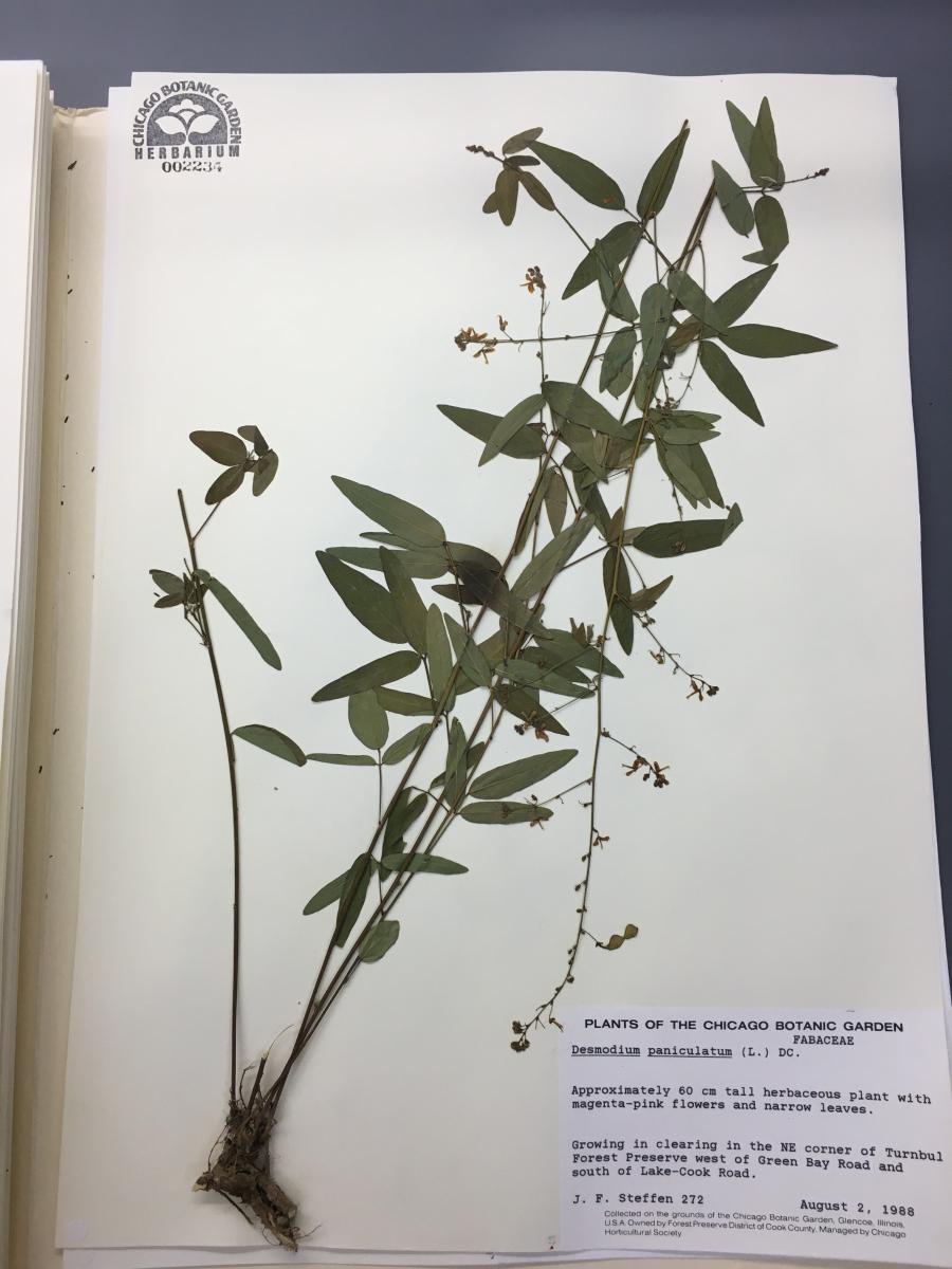 Preparing Herbarium Vouchers for the Seed Bank